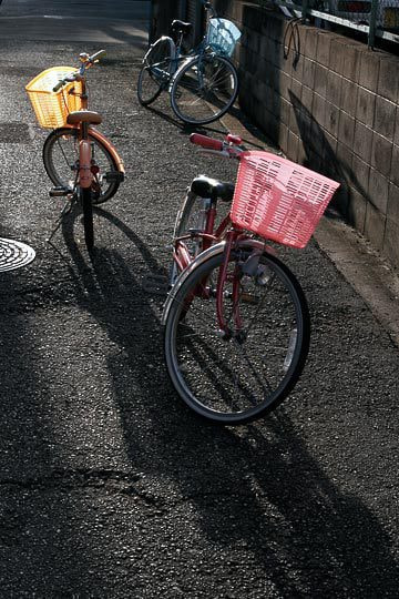 オンライン写真展　武内正樹